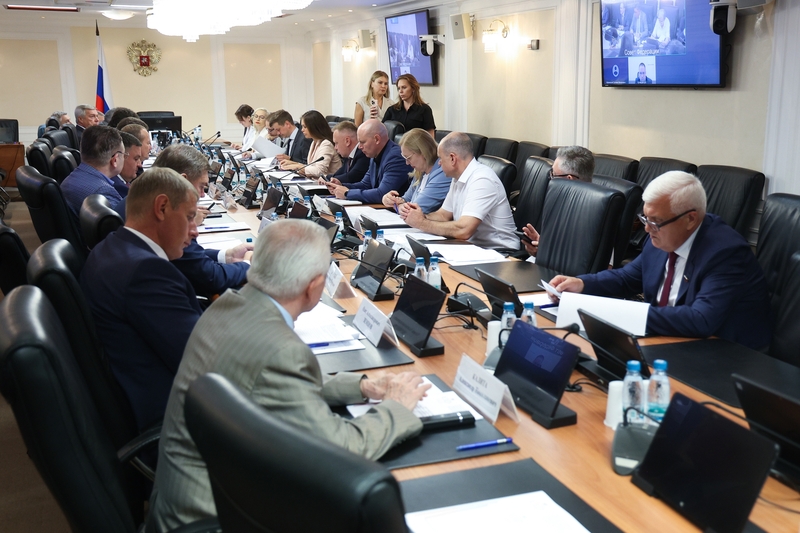 Директор НО «СОЮЗЦЕМЕНТ» представила в Совете Федерации доклад о мерах по защите населения от незаконного оборота цемента